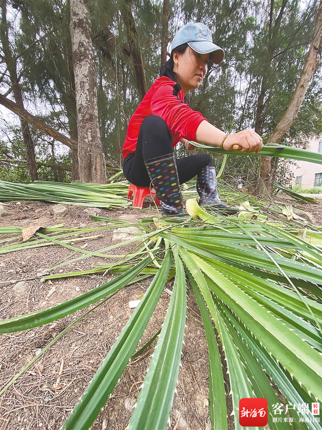 海南周刊丨“闰月年”里话食俗——几许情意在“簏”中