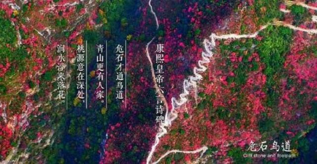 第五届“三峡红叶•夔门登山季”活动在奉节县启幕：最是橙黄叶红时！沿着中国最美步道登临三峡之巅