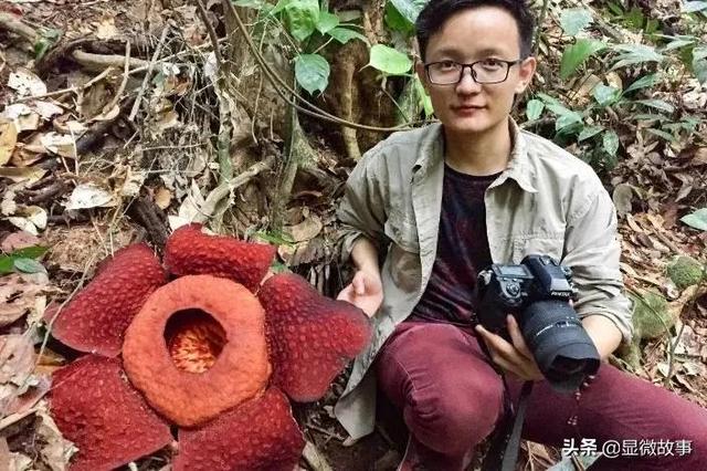 一年花50万元，寻找让人放屁都香的水果，我是一个“水果猎人”