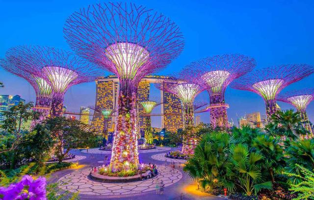 向新加坡学什么？