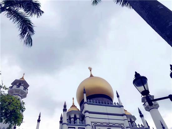 16日晚新加坡紧急发布了4个入境新规