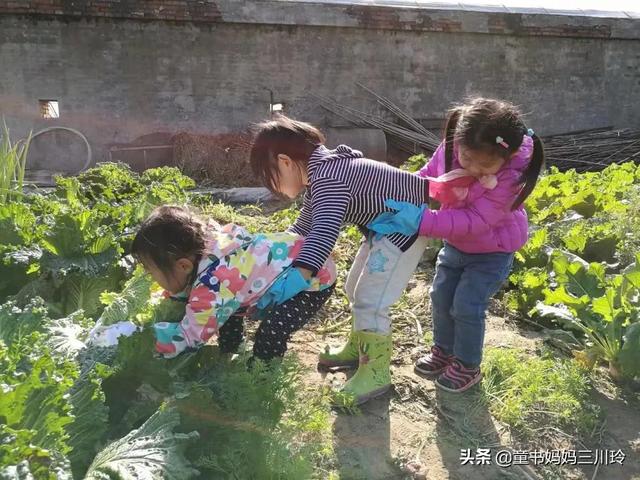 在北京不买房不上幼儿园，我们和俩娃一起自在生长