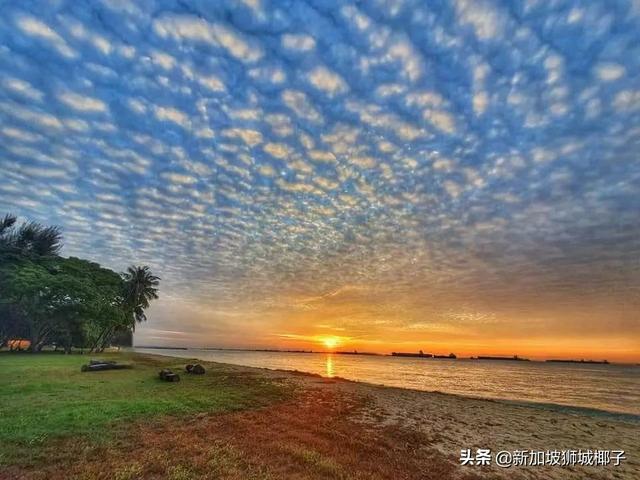 鱼鳞云刷屏！128年来新加坡最湿的一月份，还剩最后一周