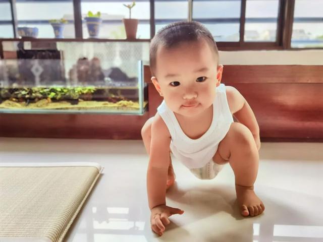 身边的羽毛球故事：我是羽毛球小将