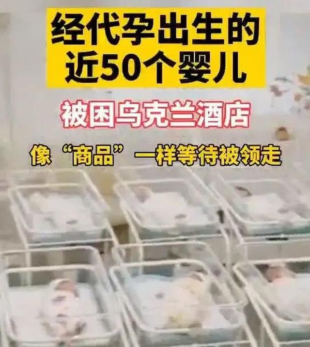 知名女星代孕弃养，揭开地下代孕工厂神秘面纱