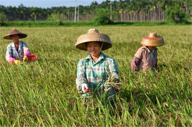 陷入泥沼的泰国：虚假的工业国、被西方金融巨鳄撕咬、虚弱的政府