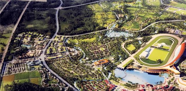 海南赛马三年之殇