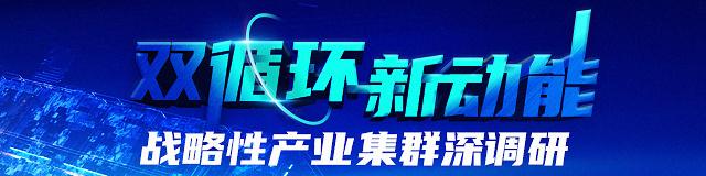 产业集群深调研 | 从化纤小厂到千万吨炼化，石化产业如何打“通关”？