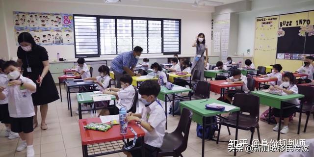 新加坡中小学迎来新学年，来看看这些小宝宝们在学校都做了什么