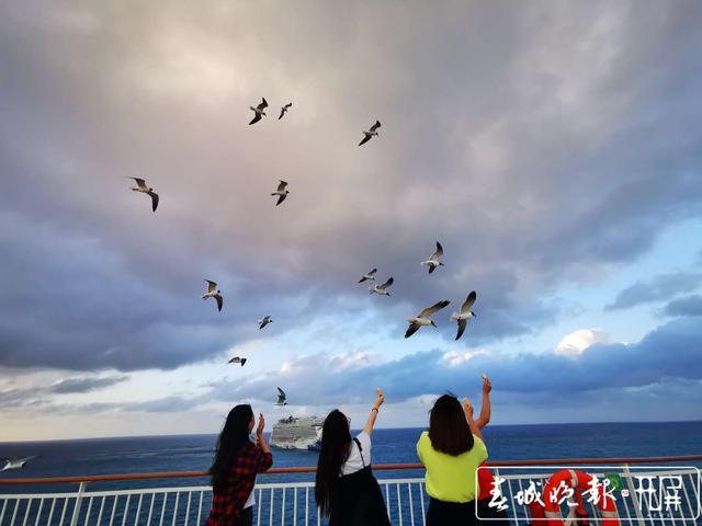 我的2020 · 回家｜穿越半个地球回家