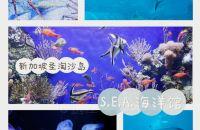 新加坡圣淘沙岛的海底之窗寻幽探秘之旅