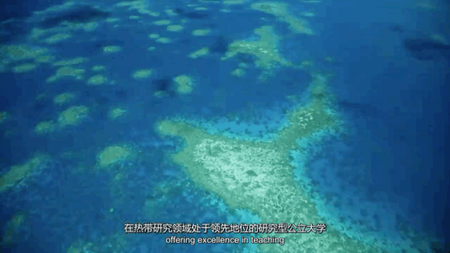 新加坡留学 | 就读全球2%顶尖名校是一种什么体验？