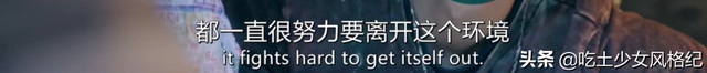 2020年“真香”剧：《棋魂》火出国，杨颖《摩天大楼》引争议