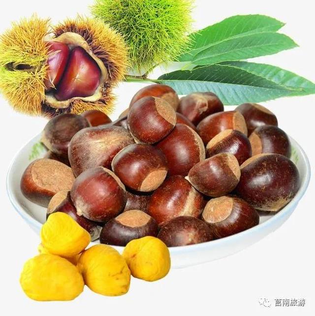 【莒南伴手礼】莒南板栗：藏着冬天温暖气息的“干果之王”