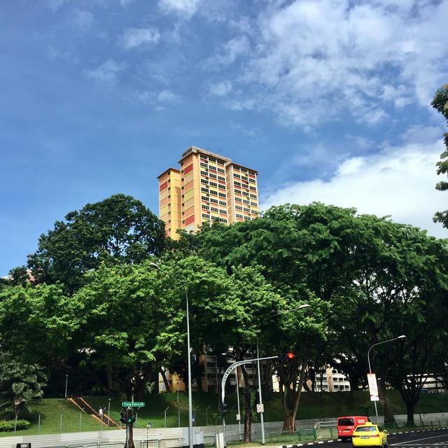 新加坡 空中花园城市