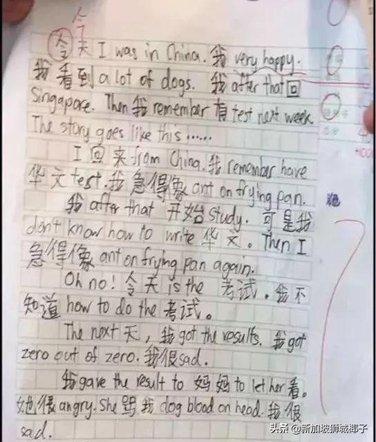 新加坡年轻人对说华语更有信心，竟高过说英语