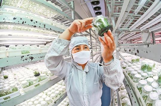 云南：加快构建现代化产业体系 打造经济高质量发展新引擎