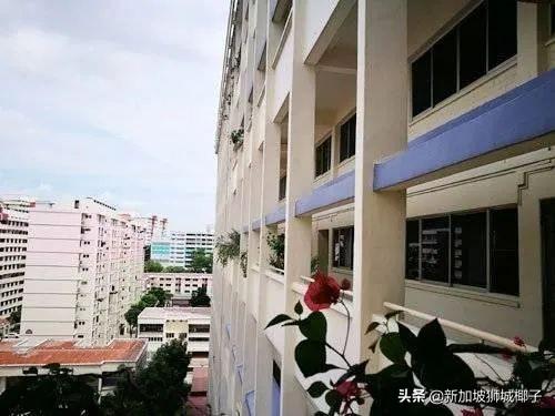 新加坡房产楼市要降温？可能出台这些政策