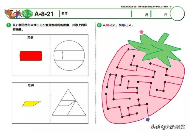 摩比、何秋光、七田真、斯奎尔，8大网红数学思维教材深度测评