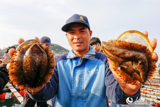 福建连江：“一只鲍鱼”掘金海洋经济