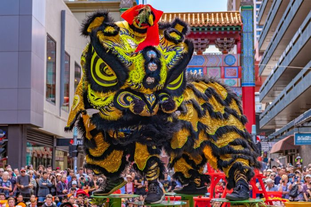 特写：疫情下的澳洲醒狮表演团