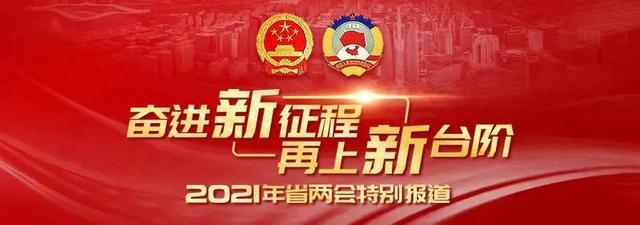 高银江：借鉴新加坡“活力社群”理念，打造现代农业园区丨2021年省两会特别报道·川商谈