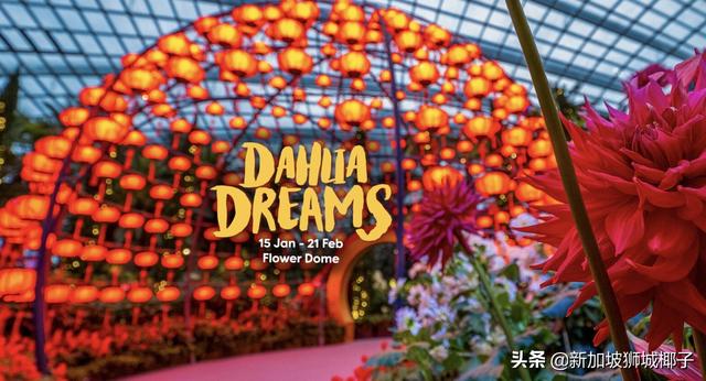史上头一回，新加坡牛车水新年不亮灯！网友：不见错字心不烦