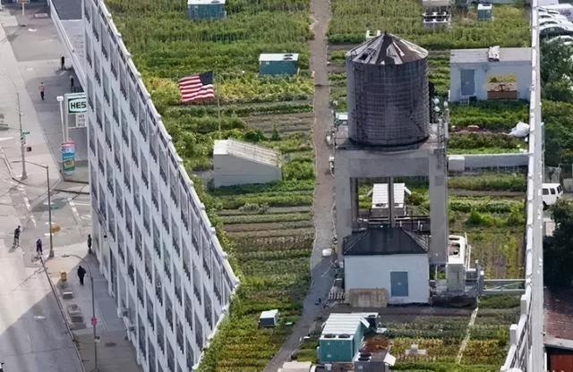 空中农场，立体农业...老外们把都市农业玩的不像话