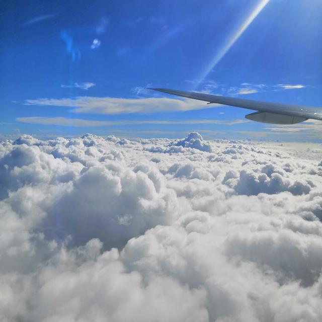 新加坡旅拍，不至于文明整洁，井然中带着一股现代之美。