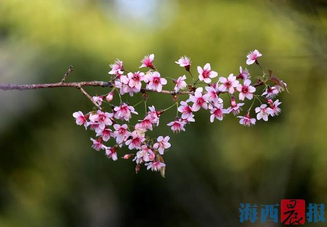 乘车免费！厦门两条地铁线路，吃喝玩乐全包了