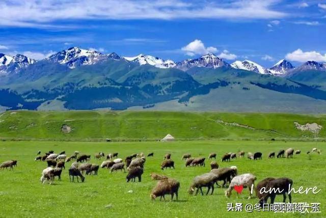 陈光：在那遥远的地方