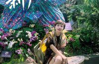 新加坡是一个历史文化与现代繁华相结合的国度