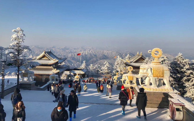 推优惠票、迎早春花海......各大景区花式玩转“就地过年”