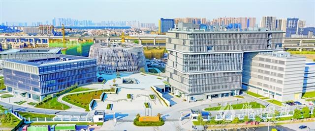 佛山南海：湾区腹地舞龙头