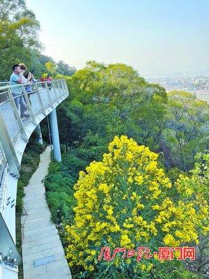 厦门：一城春色半城花“花海盛宴”邀您共赏