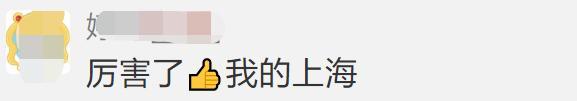 重磅！上海乐高乐园预计年内开建，2024年初正式开园