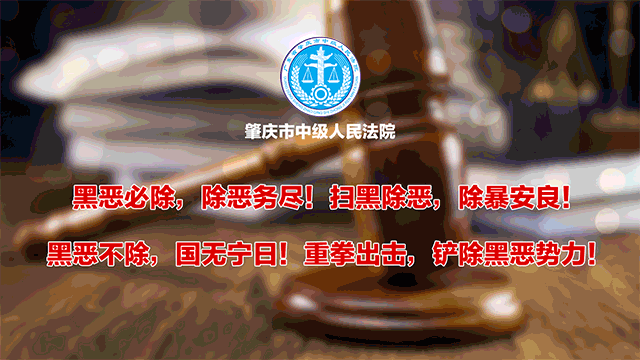 陈洪浩当选肇庆市中级人民法院院长