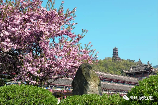 推优惠票、迎早春花海......各大景区花式玩转“就地过年”