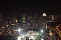 新加坡洲际酒店是新加坡两间洲际酒店之一