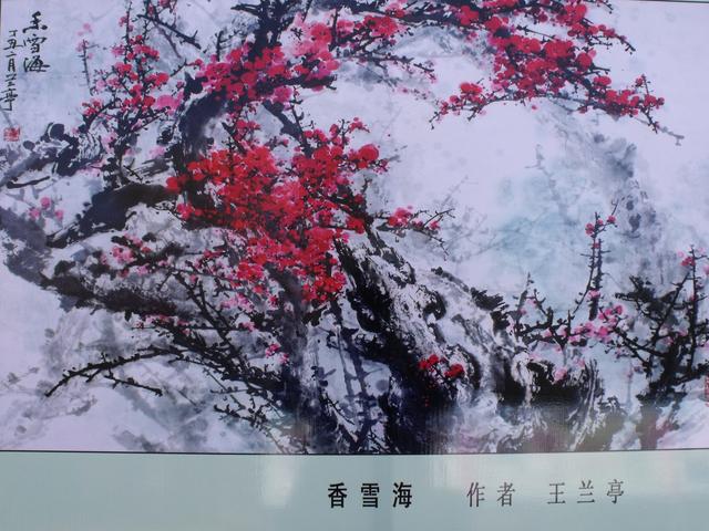 梅 之 魂（报告文学）
