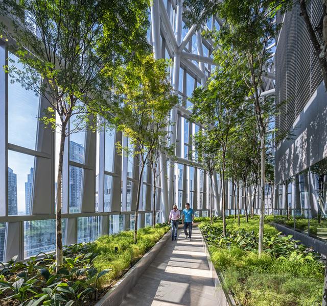 新加坡罗敏申路18号大楼——办公楼中的架空花园