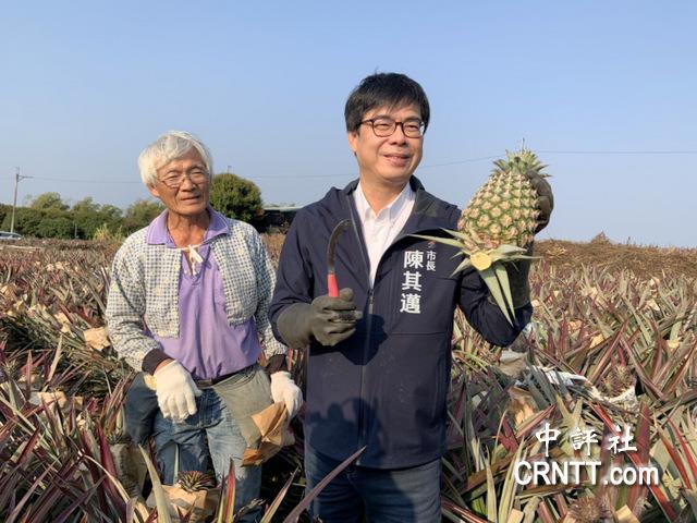 凤梨进不了大陆，南部绿营票仓动摇，民进党急砸十亿止血