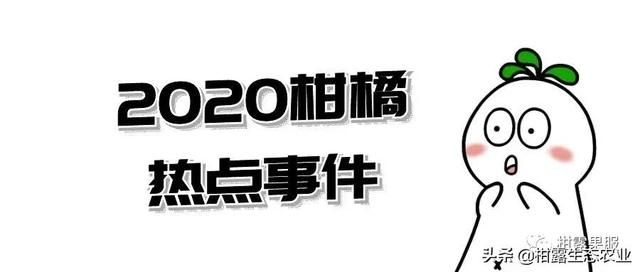 「资讯汇总」盘点2020年柑橘大事件