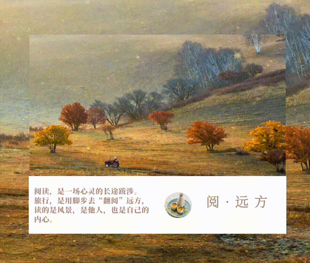 阅·远方（24）大兴机场的“艺术镶嵌”