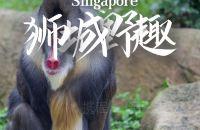 与猩猩享用早餐｜新加坡日间动物园攻略指南