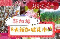 新加坡去哪买｜新年买花8大新加坡花市