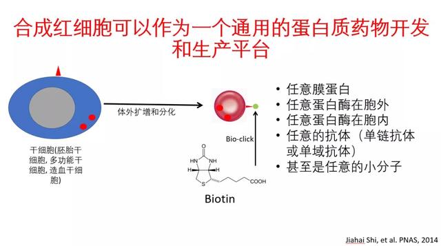 新药研发20年，史家海详解：红细胞技术如何接轨基因治疗等