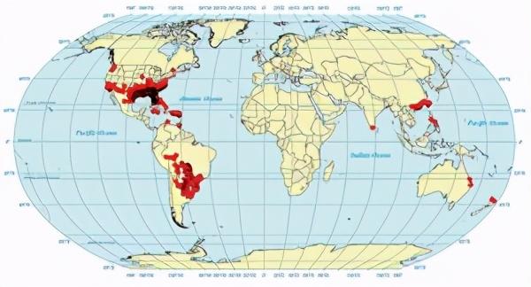 红火蚁危险在哪为何如此凶猛顽强？这都拜南美老家数十种天敌所赐