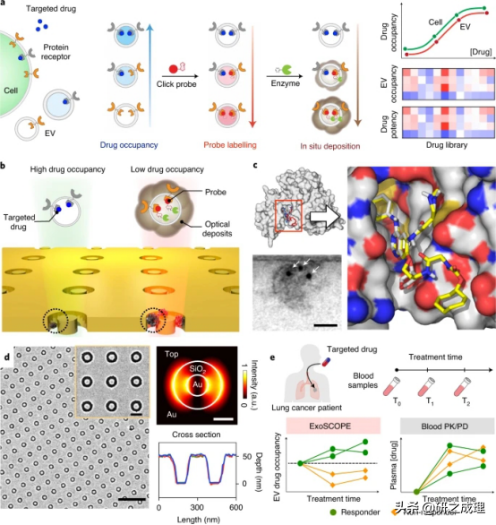 新加坡国立大学邵慧琳最新Nature Nanotechnology！