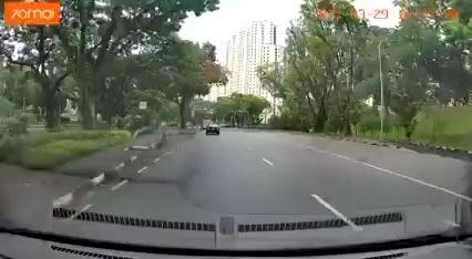 10米风铃木树枝轰然倒下，砸中轿车